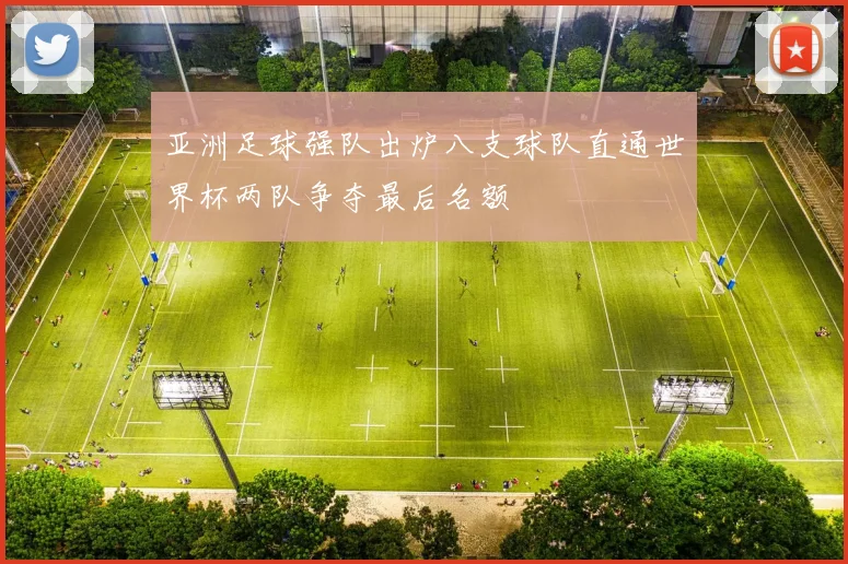 亚洲足球强队出炉八支球队直通世界杯两队争夺最后名额