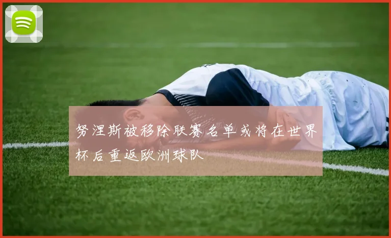 努涅斯被移除联赛名单或将在世界杯后重返欧洲球队