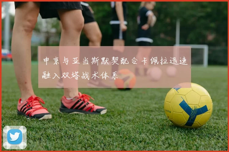 申京与亚当斯默契配合卡佩拉迅速融入双塔战术体系