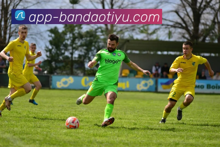 半岛体育平台生态图