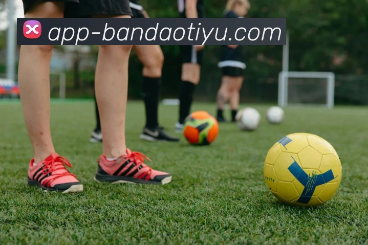 半岛体育全站App